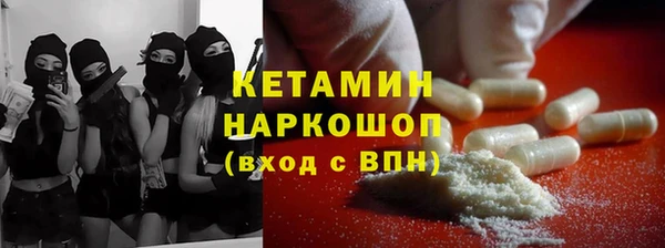гашик Алексин