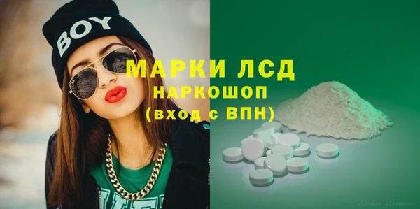 гашик Алексин