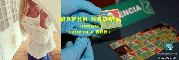 гашик Алексин