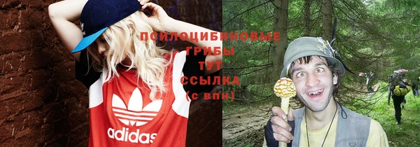 гашик Алексин