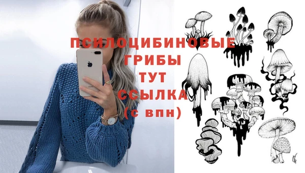 синтетический гашиш Зеленокумск