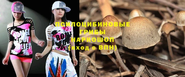 гашик Алексин