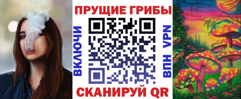 Галлюциногенные грибы мухоморы  blacksprut ССЫЛКА  Киржач 
