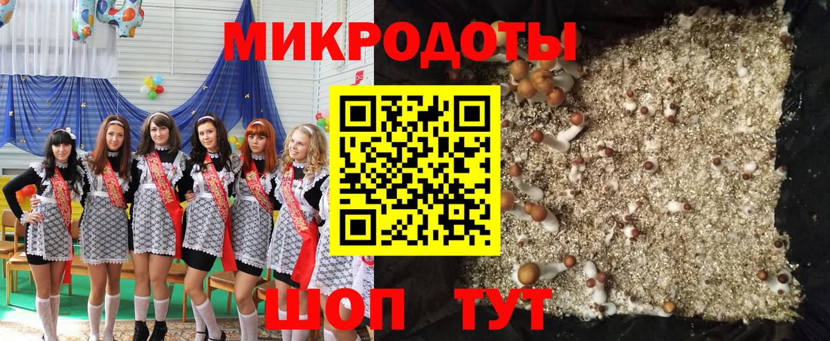 Псилоцибиновые грибы прущие грибы  Вход с VPN  Киржач  Галлюциногенные грибы прущие грибы 